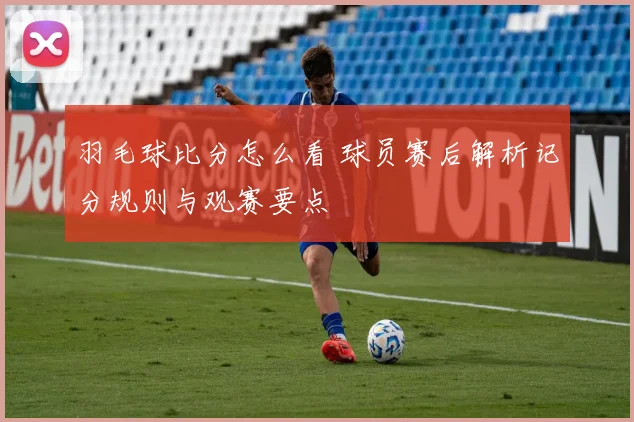 羽毛球比分怎么看 球员赛后解析记分规则与观赛要点